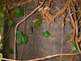 image of grave number 94651